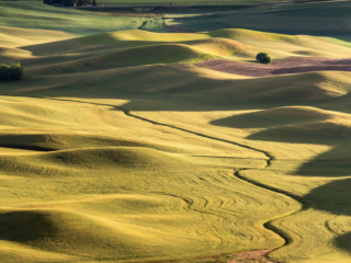 Palouse - Washington