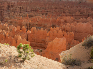 Bryce Canyon - Utah
