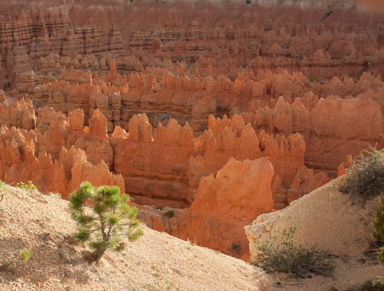 Bryce Canyon - Utah