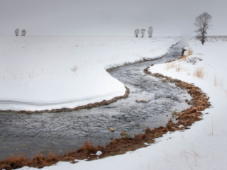 Snowing on the Stream