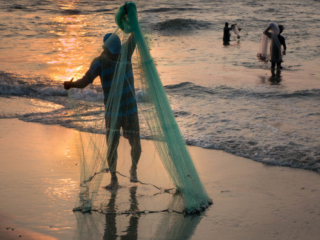 Fishing, Kochi
