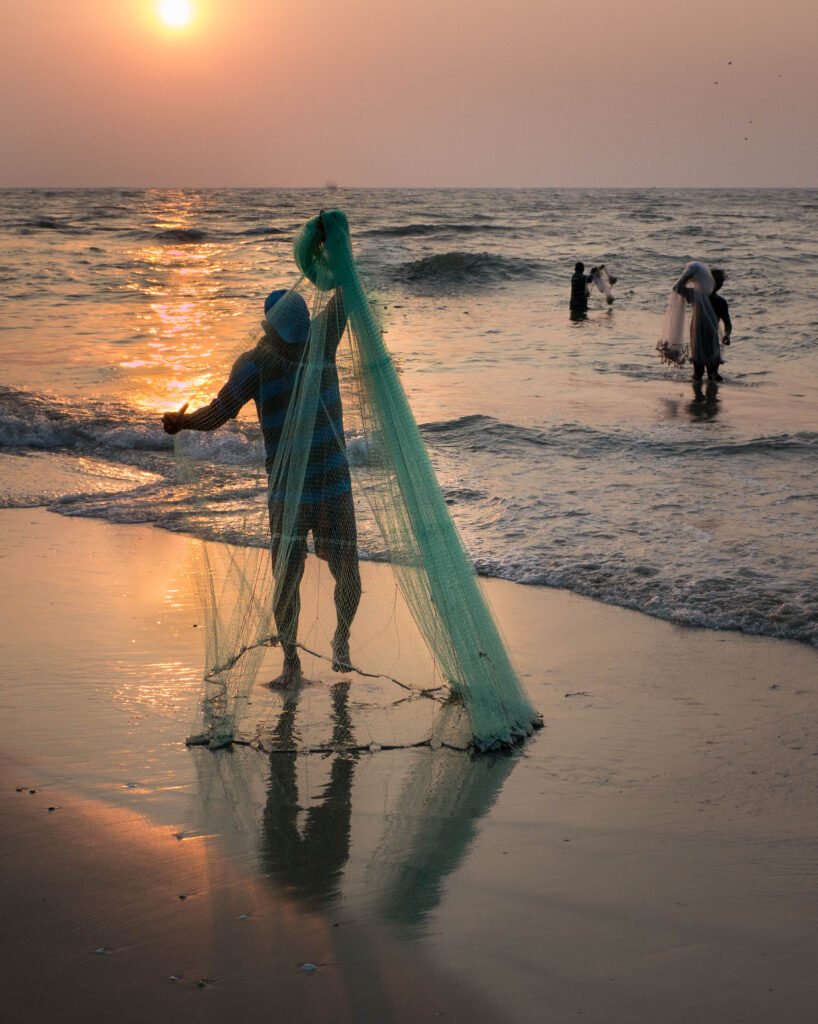 Fishing, Kochi
