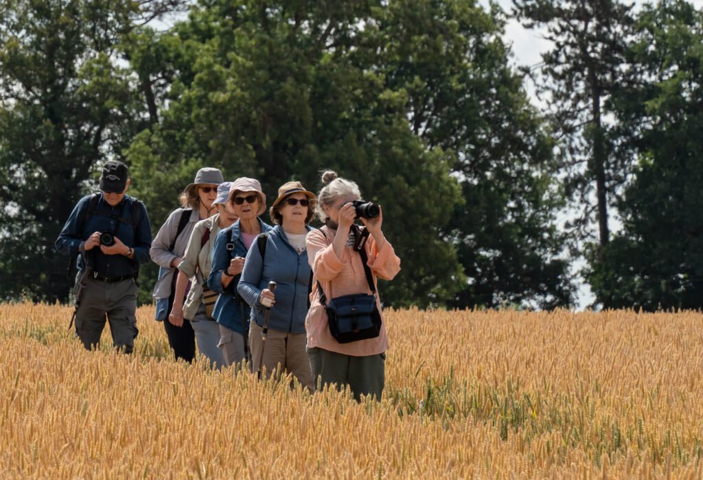 Across the Cornfield
