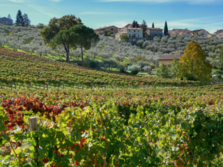 Walk from Montefalco