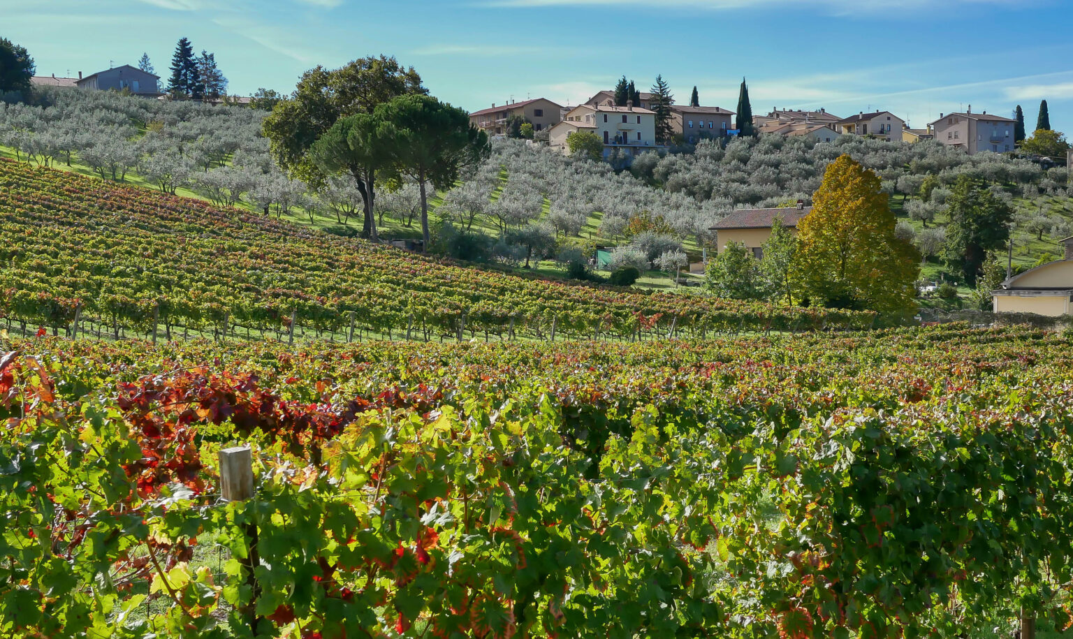 Walk from Montefalco