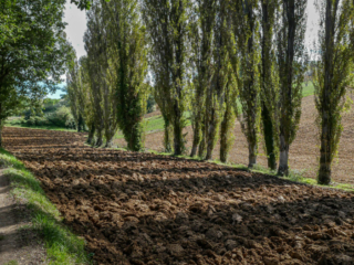 Walk from Montefalco