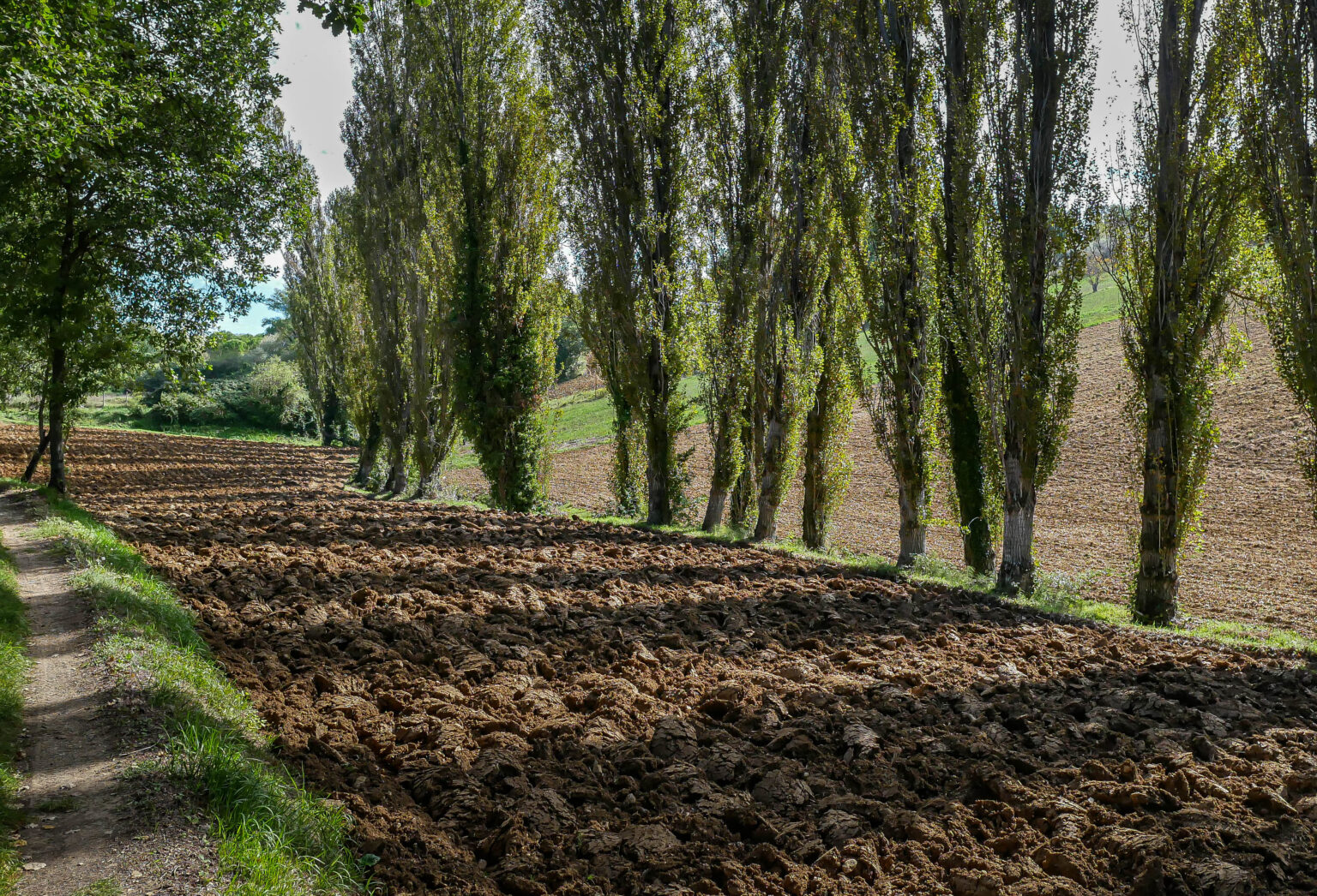 Walk from Montefalco