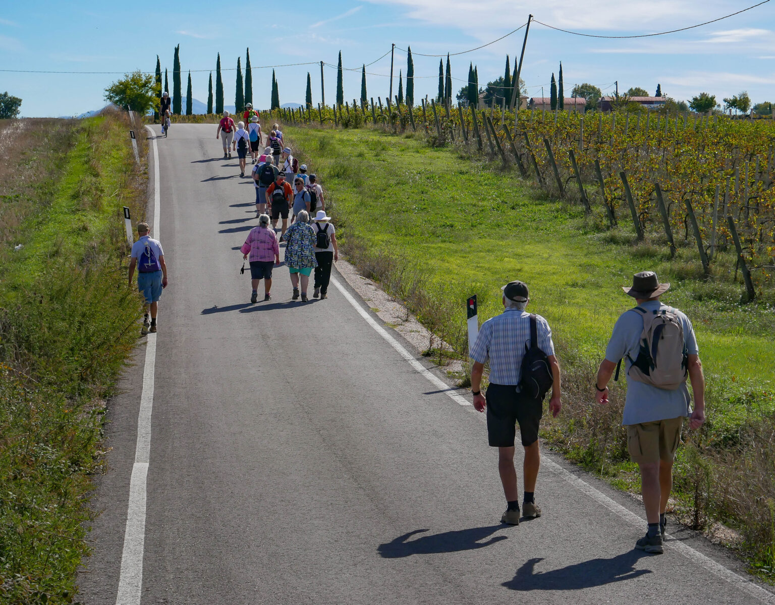 Walking Past the Vineyard