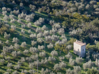 On the walk to the Truffle Farm
