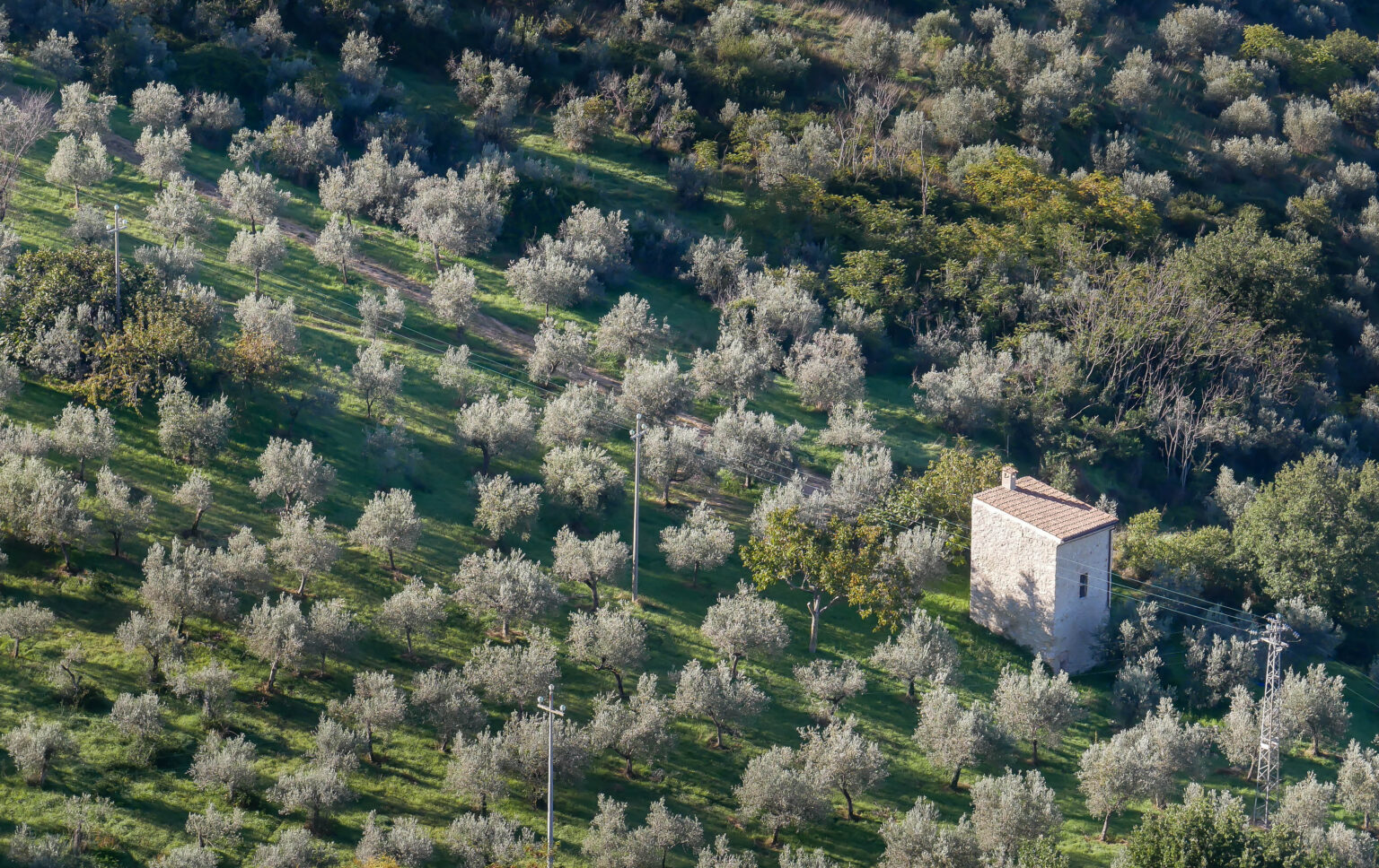 On the walk to the Truffle Farm