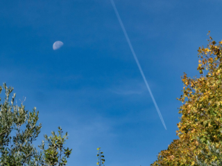 On the walk from Collepino