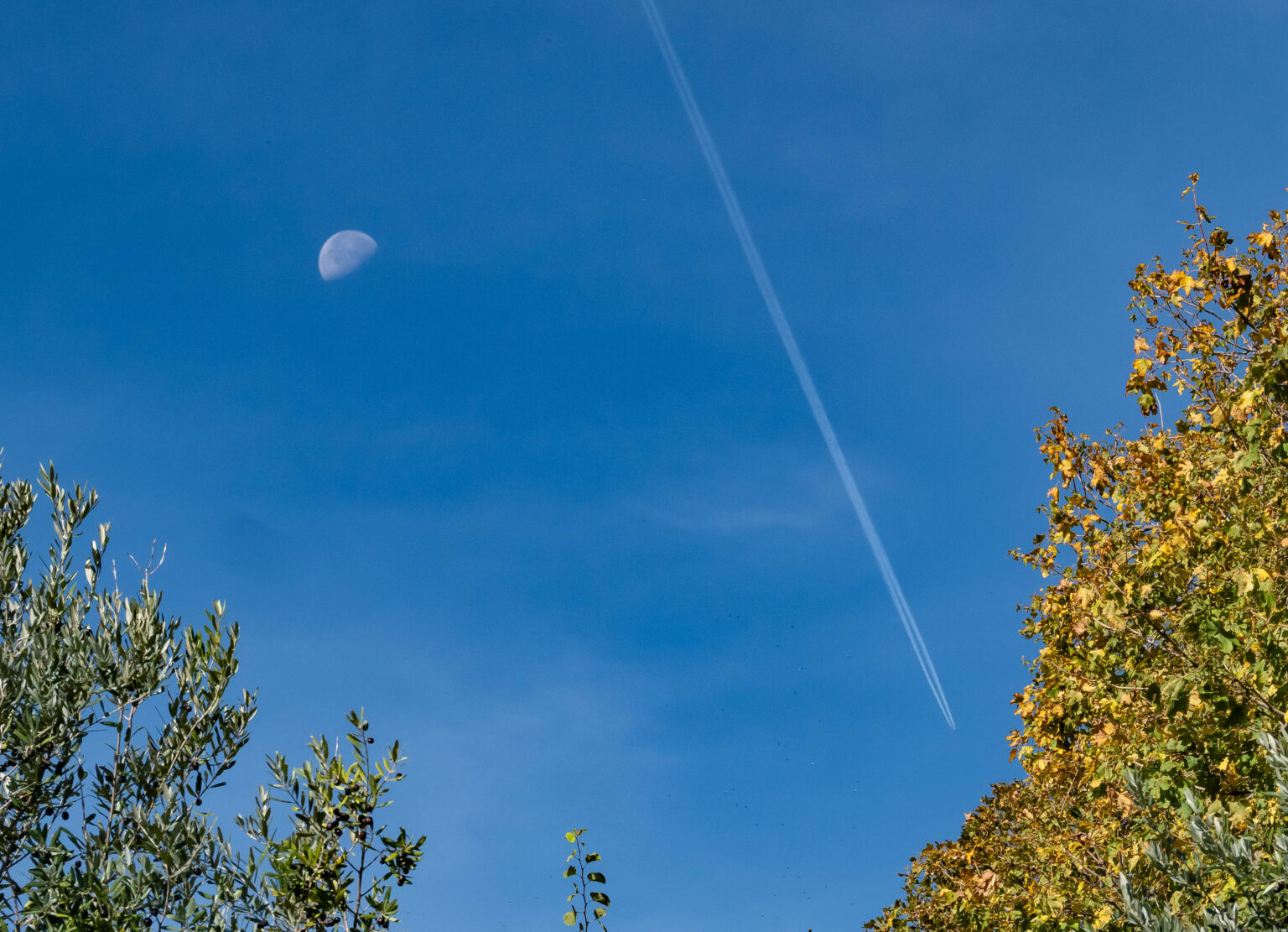 On the walk from Collepino