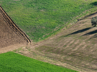 On the walk from Collepino