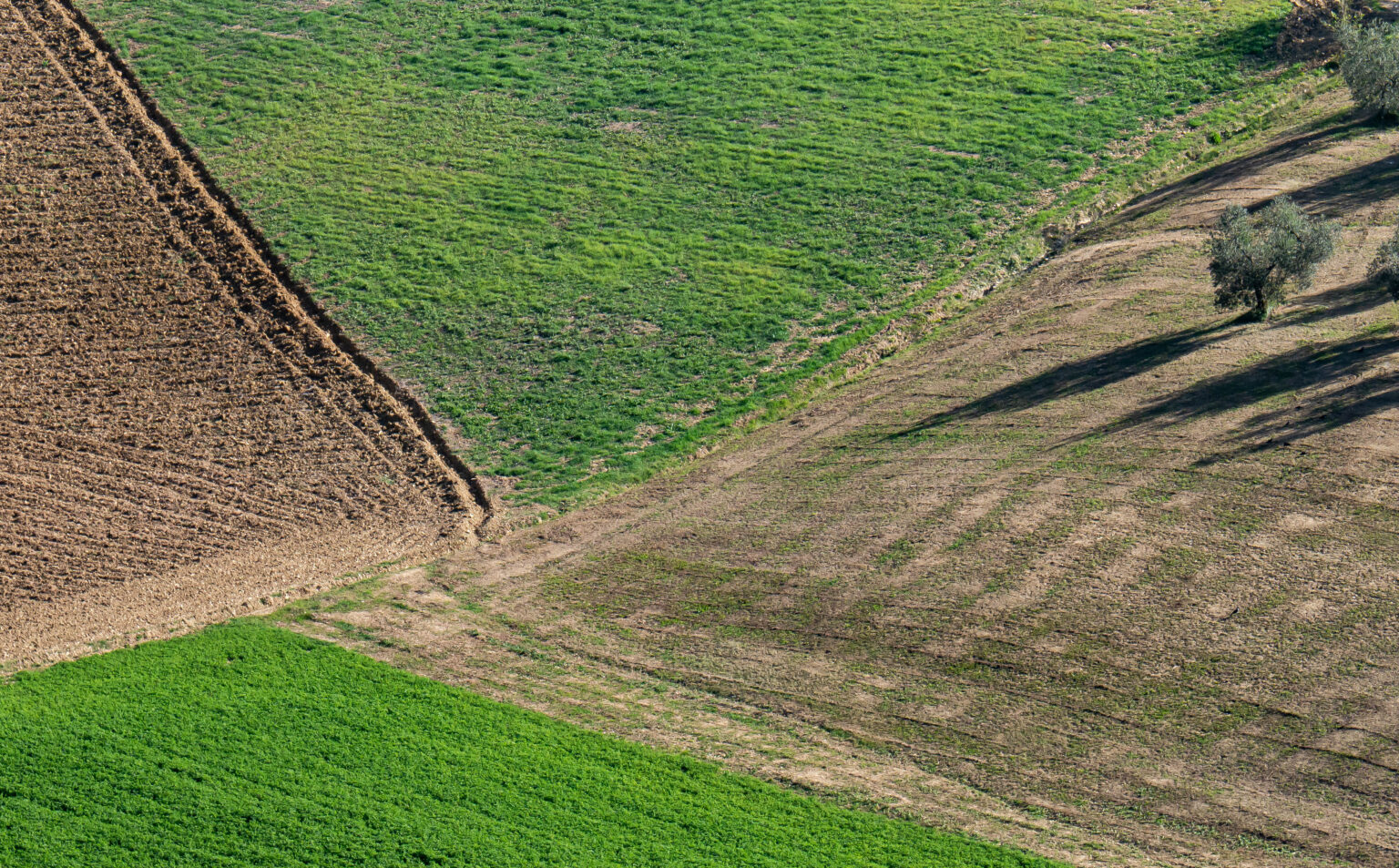 On the walk from Collepino