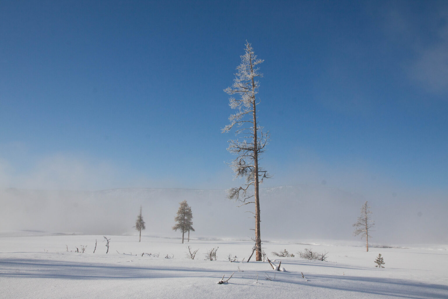 Yellowstone Winter