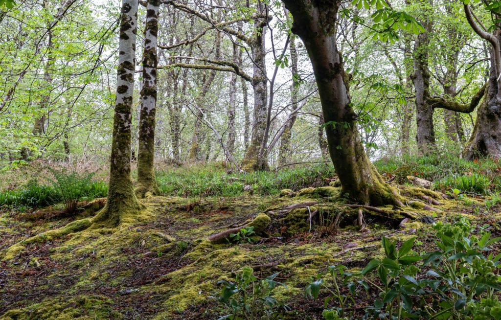 Lews Castle Grounds