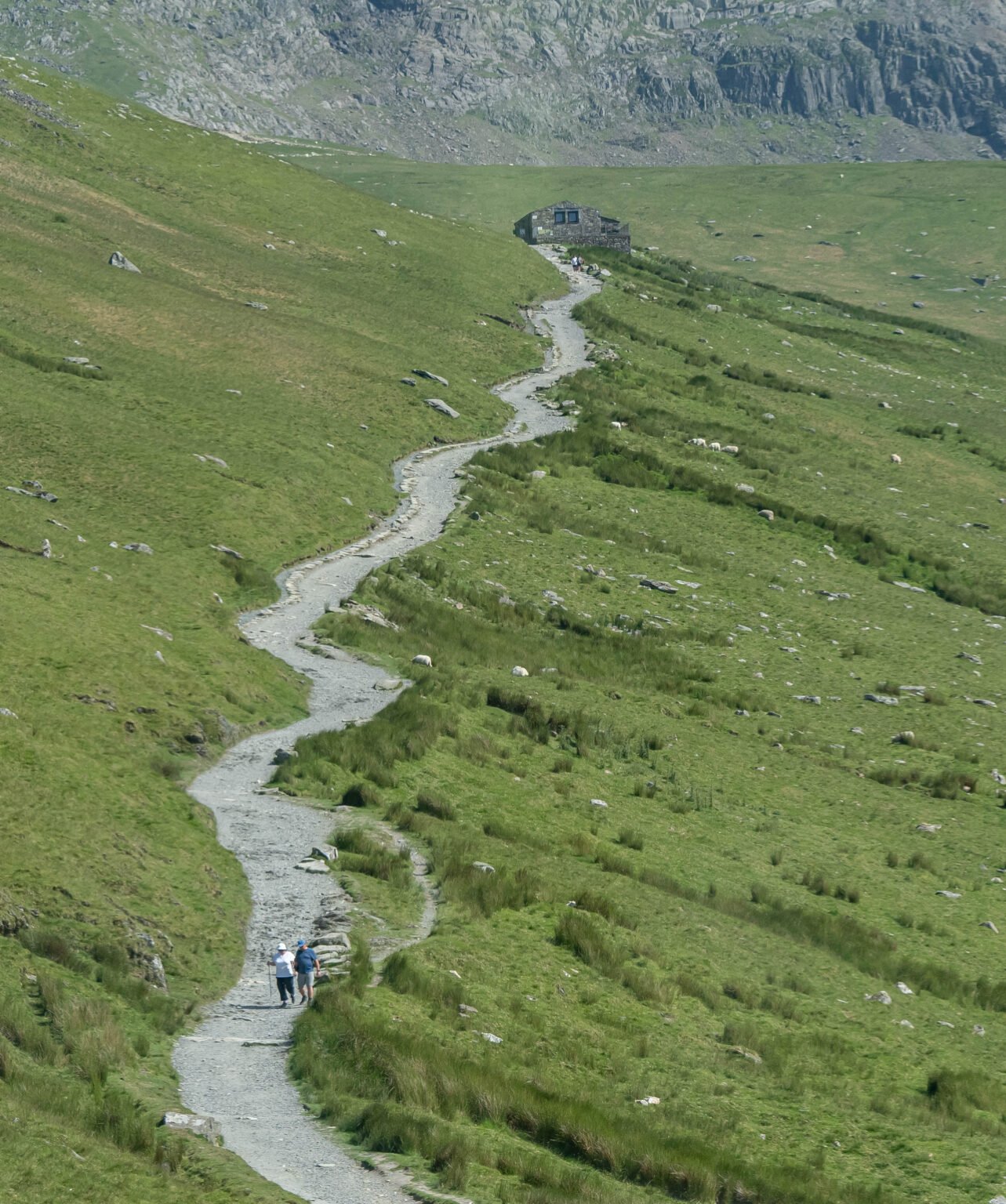 From the Snowdon Mountain Railway