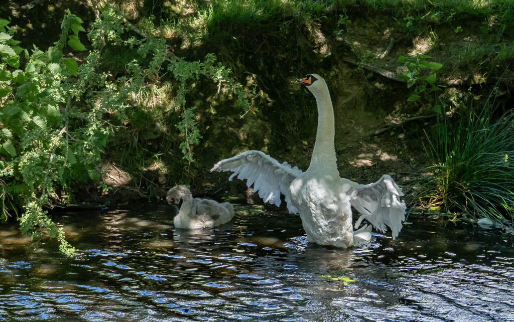 Near Powis Castle and Garden
