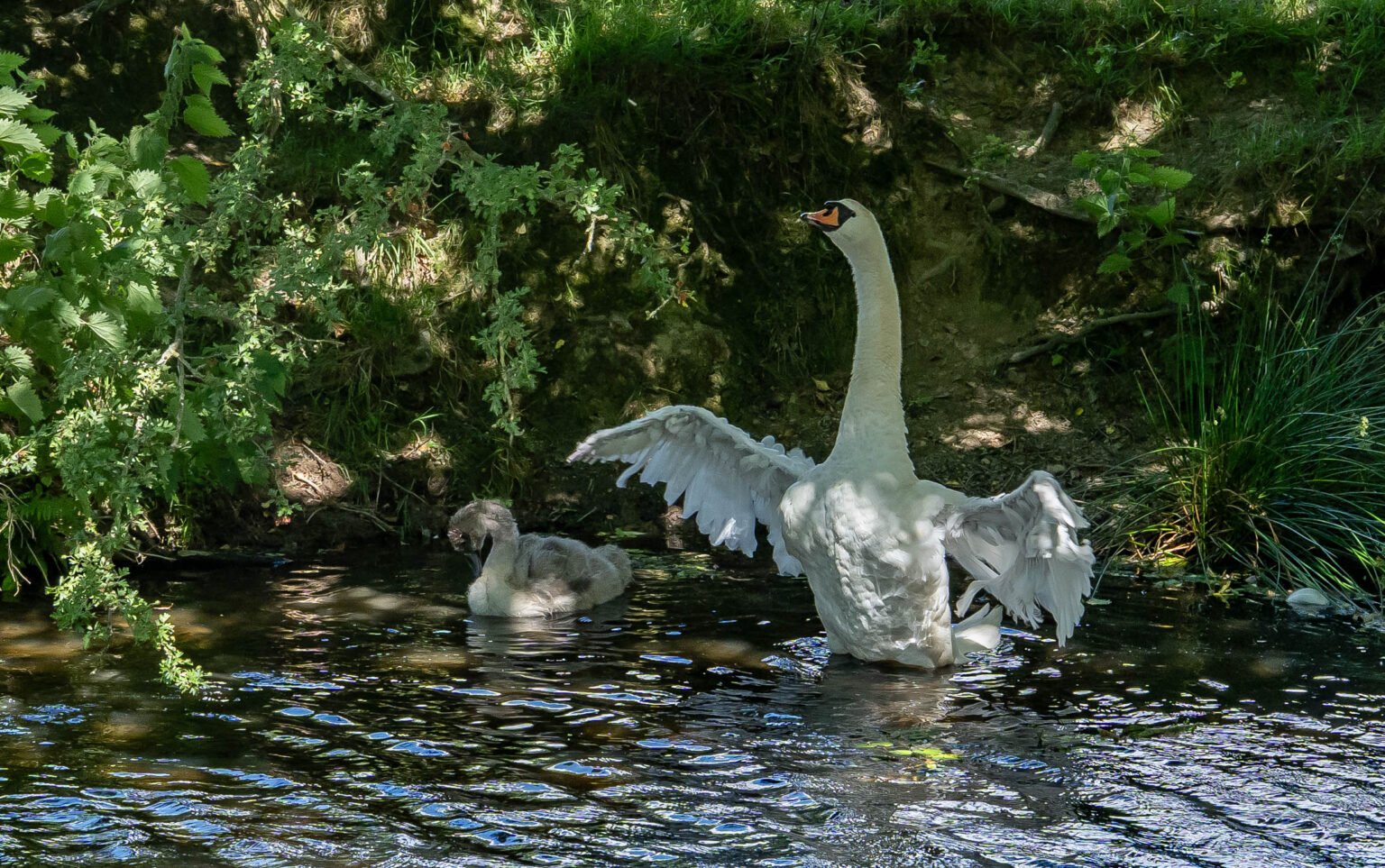 Near Powis Castle and Garden