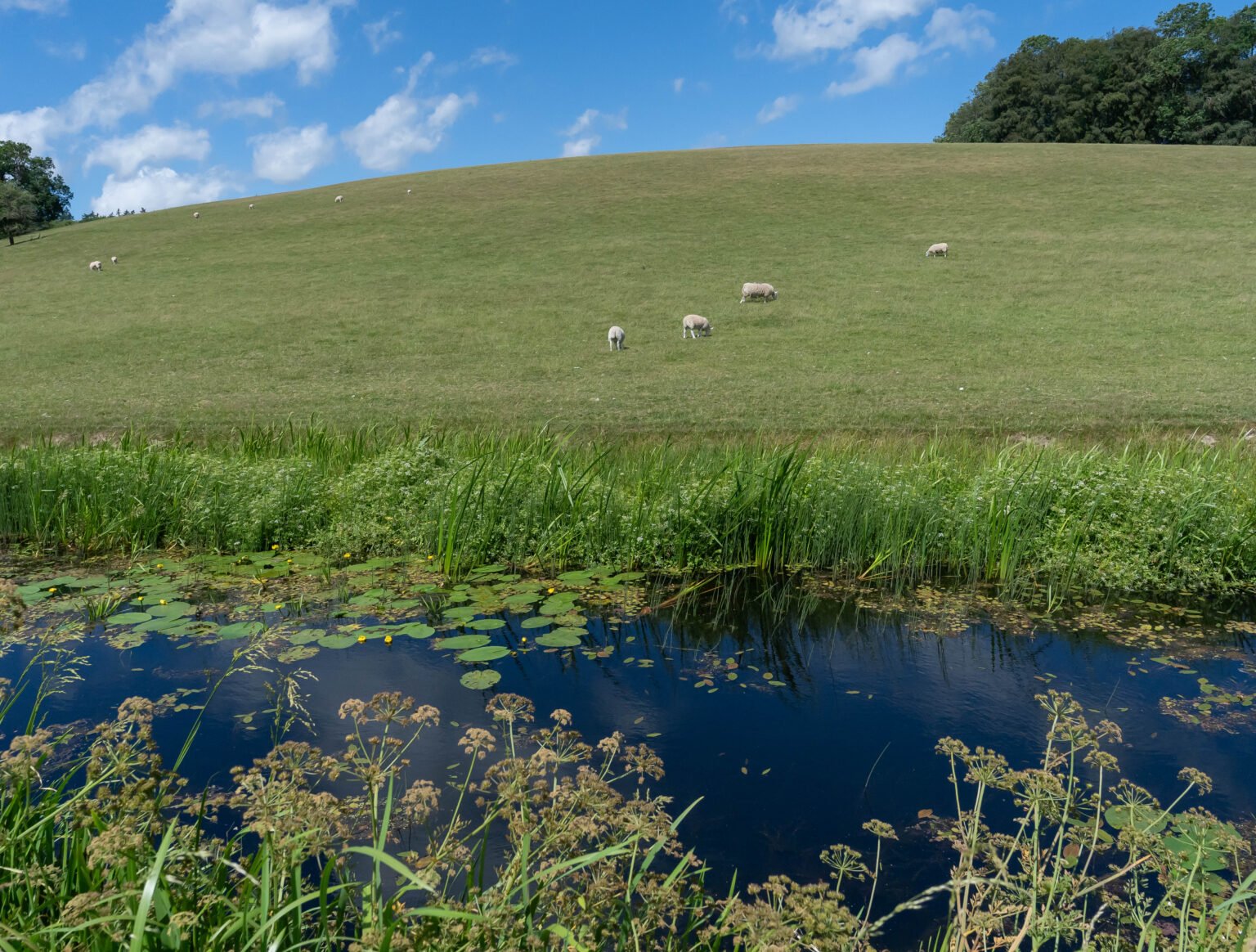 Near Powis Castle and Garden