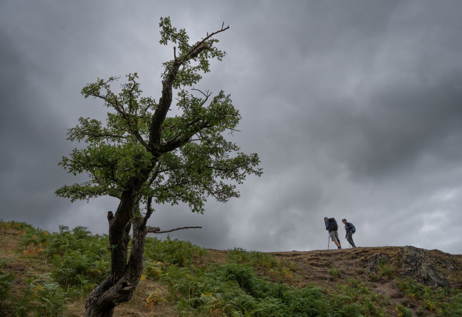 Carding Mill Valley