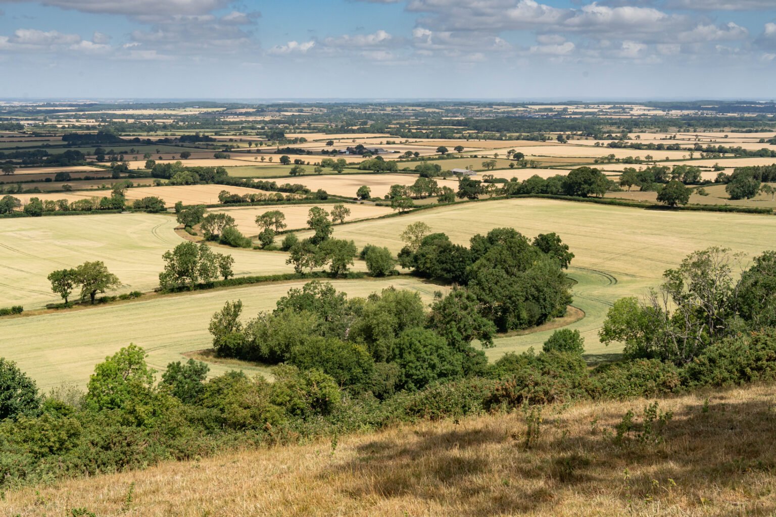Edgehill View