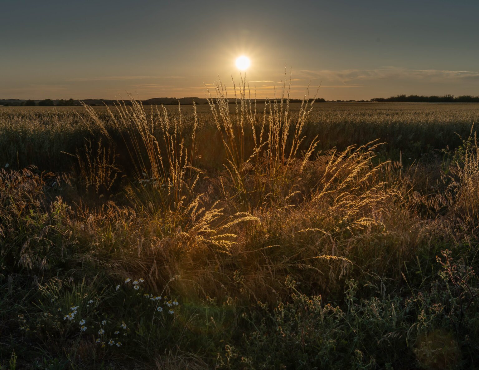 Nearly Sunset