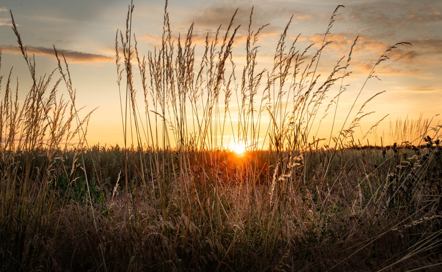 Sundown