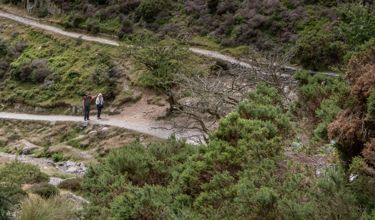 Carding Mill Valley