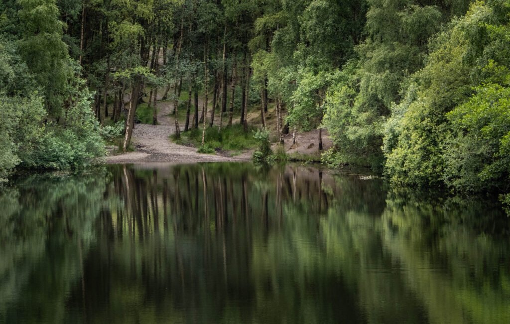 Carding Mill Valley