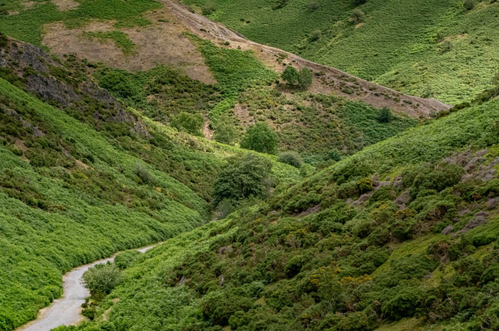 Carding Mill Valley