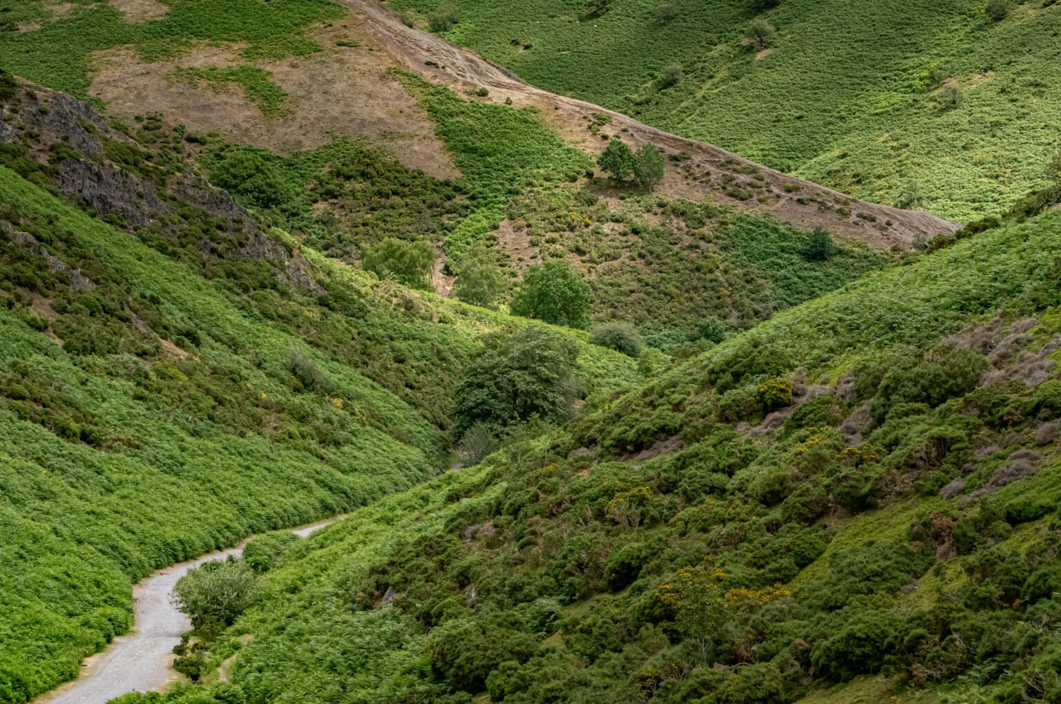 Carding Mill Valley