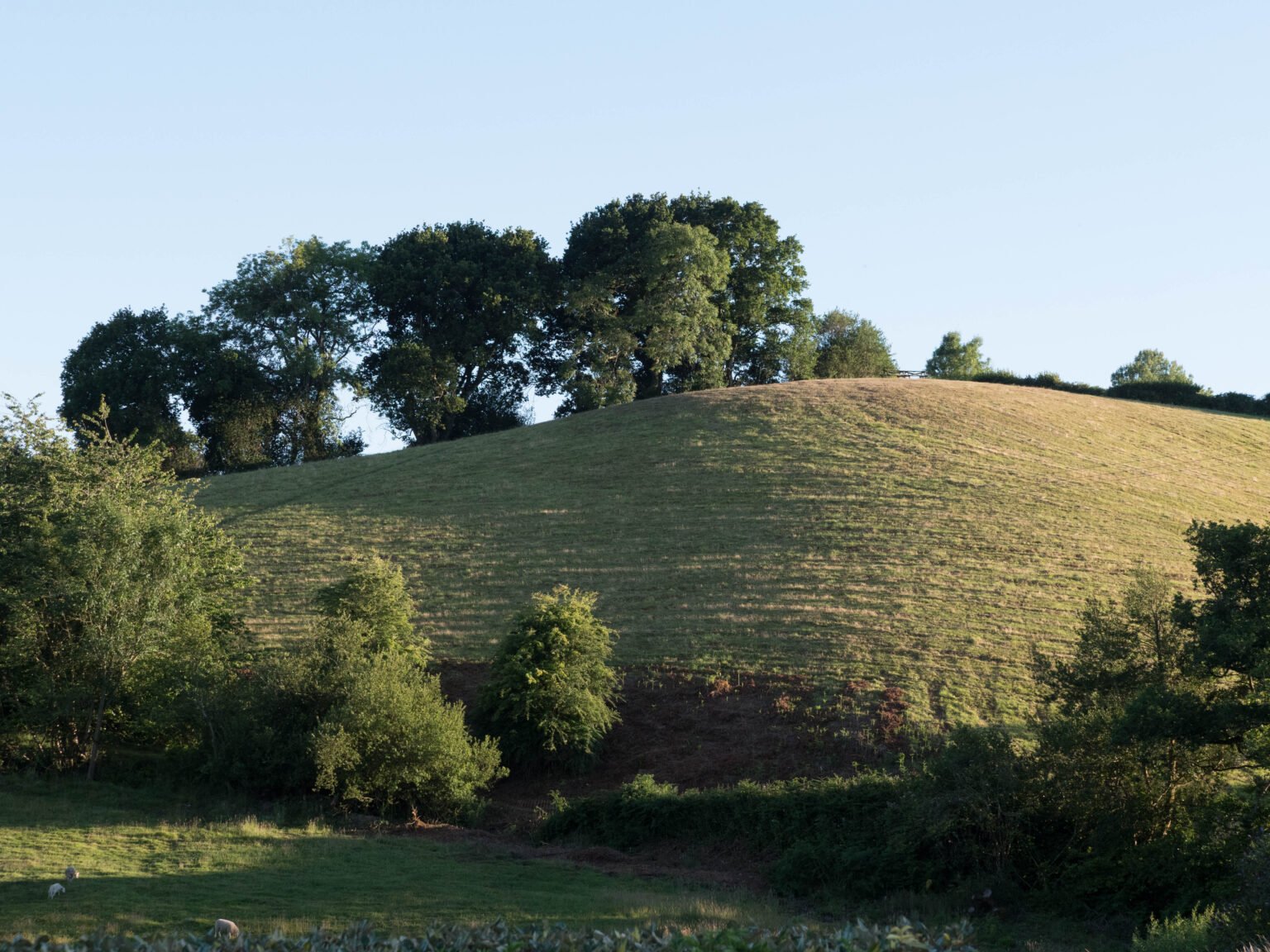 Whitwell Farm