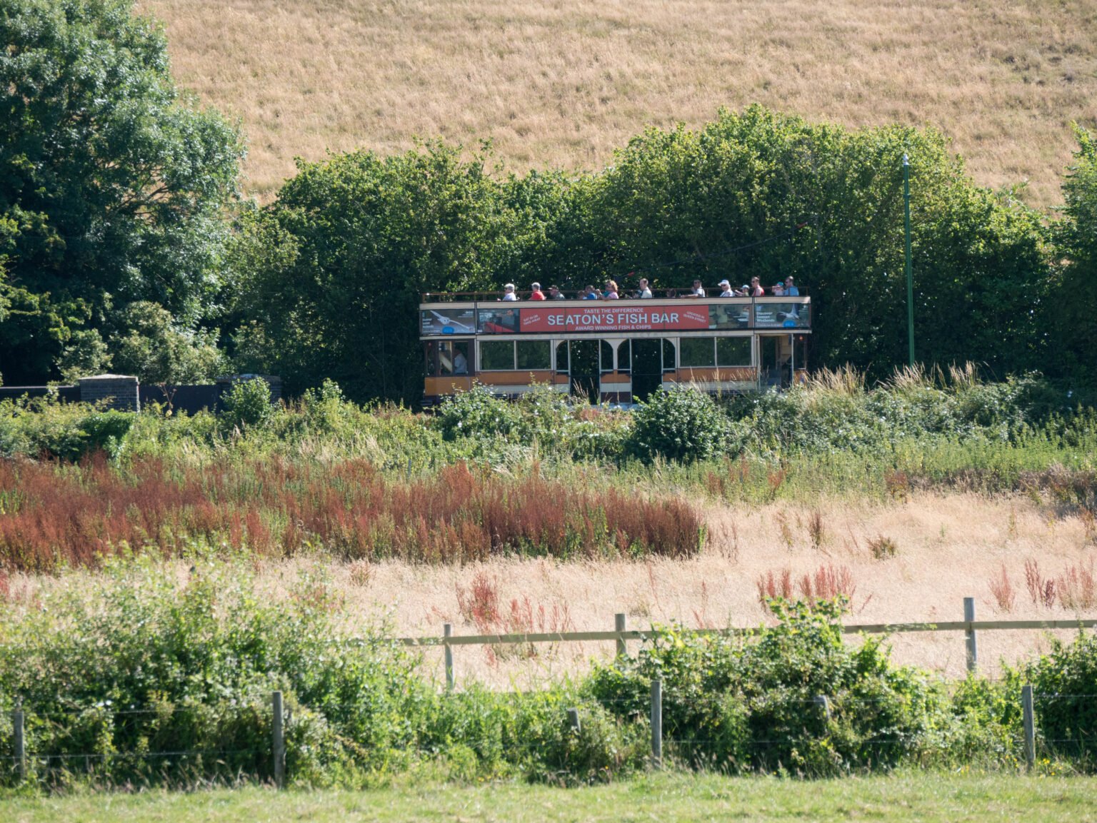 Seaton Tram